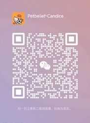 Je suis sur WeChat.
