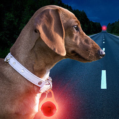 acheter Marque de col blanc bleu vert en silicone flashant pour chien Marque d'identité florale pour chien fabrication en ligne