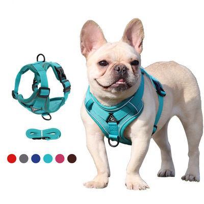 acheter Veste de sécurité réglable respirante pour chien 1,5 m laisse de traction sans harnais de chien personnalisé pour des promenades sûres et élégantes fabrication en ligne