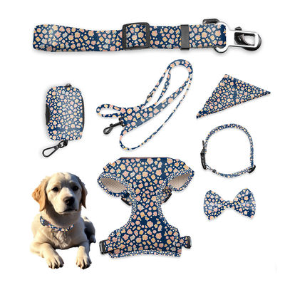 acheter Le collier de chien respirant et le harnais de laisse fabrication en ligne