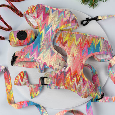 acheter Des ensembles de harnais pour chiens en néoprène de couleur personnalisée avec des concepteurs de luxe fabrication en ligne