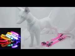 Collier pour chien éclairé en nylon XS XL LED rechargeable