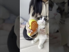 Brossage à la vapeur pour animaux de compagnie Brossage à la vapeur pour chiens et chats Brossage rechargeable à vapeur portable