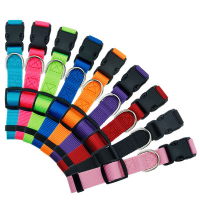 Collier de chien en nylon sécurisé confortable gestion des animaux de compagnie couleurs multiples personnalisées