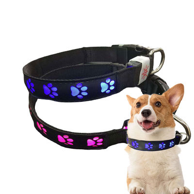 Collier pour chien all-season à LED clignotant Collier pour chien éclairé petit moyen grand