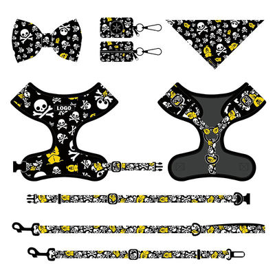 Collier de chien en nylon et laisse Collier de harnais et ensemble de plomb polyester nylon