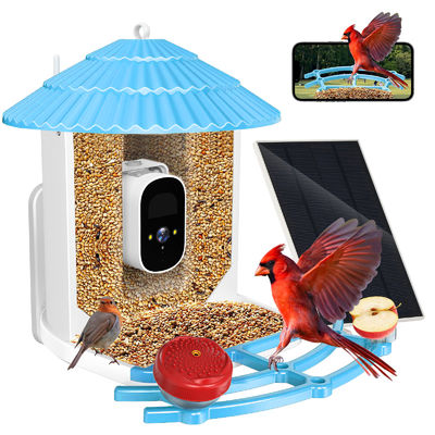 IP66 étanche à l'eau 4MP Smart Bird Feeder 2.5L Wildlife Smart Bird Camera