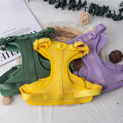 Neoprène personnalisé de chien de compagnie harnais laisse et collier pour ajustement S / M / L