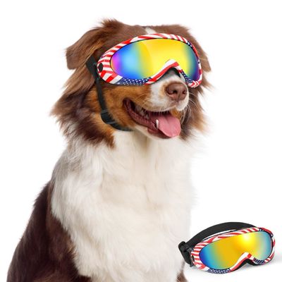 Lentilles de soleil pour chiens Lentilles pour animaux de compagnie Vêtements pour les yeux pour la plage de neige Motocyclette Dog Goggles Race