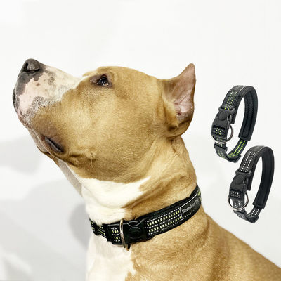 Collier pour chien flashant noir lumineux personnalisé