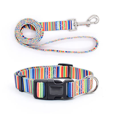 Accessoires pour animaux de compagnie Colliers personnalisés Colliers pour chiens Perro Logo personnalisé