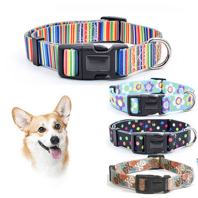 Collier tactique réglable personnalisable et ensemble de laisse pour chiens