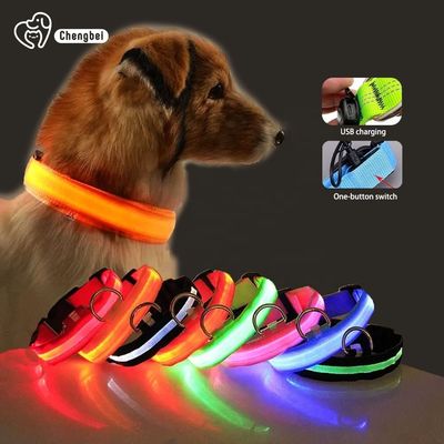 Collier pour chien éclairé en nylon XS XL LED rechargeable