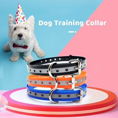 Collier de chien réfléchissant pour toutes les saisons Collier de chien sans traction