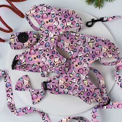 Ensemble de harnais de chien pour animaux de compagnie réglable en maille de néoprène de luxe avec laisse personnalisée et OEM / ODM accepté