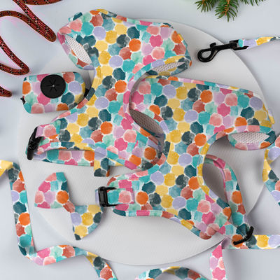 XS S M L XL Chiot Harness et la laisse ensemble Air Mesh Collier souple en néoprène et ensemble de plomb