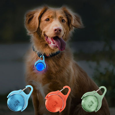 Logo personnalisé IPX8 étanche réglable pour chien éclairage pour la nuit marche clignotant lumineux lumineux USB rechargeable