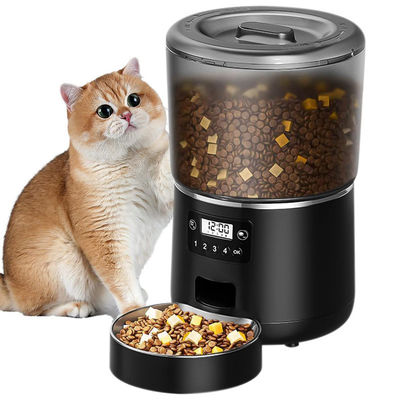 4L bocal automatique pour animaux de compagnie, fournisseur d'alimentation en acier inoxydable, auto-alimentation du chat