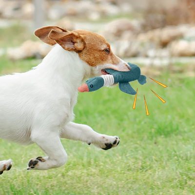 Nom